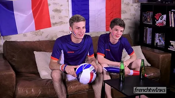 Deux minets soutiennent l'équipe de France de football à leur manière