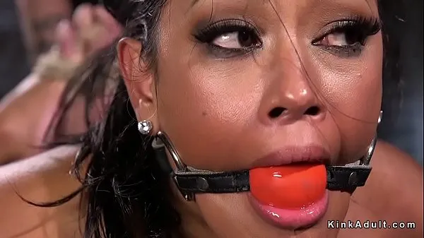 Watch Hogtied gagged brunette drooling total Tube